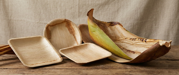 NISSUL eco-friendly Areca leaf tableware from Bangladesh